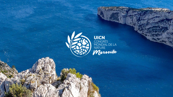 Du 3 au 11 septembre 2021, la France accueillera le Congrès Mondial de la Nature de l’UICN à Marseille