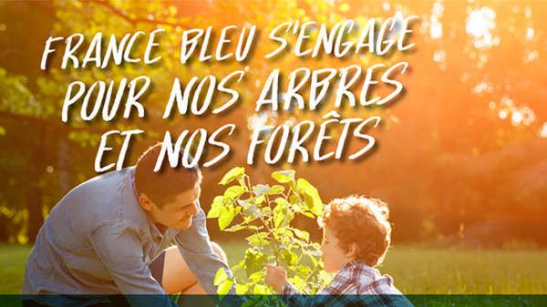 France Bleu s'engage pour nos arbres et nos forêts : journée spéciale vendredi 25 novembre 2022