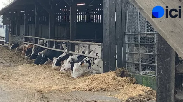 Ma France se délocalise à Villette-d’Anthon (38) au cœur d’une exploitation agricole - Vendredi 20 février – 13H/14H