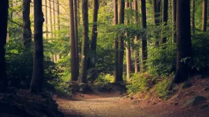 Nature et environnement