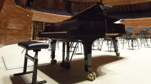 Bach / Schubert / Chopin - Pianomania