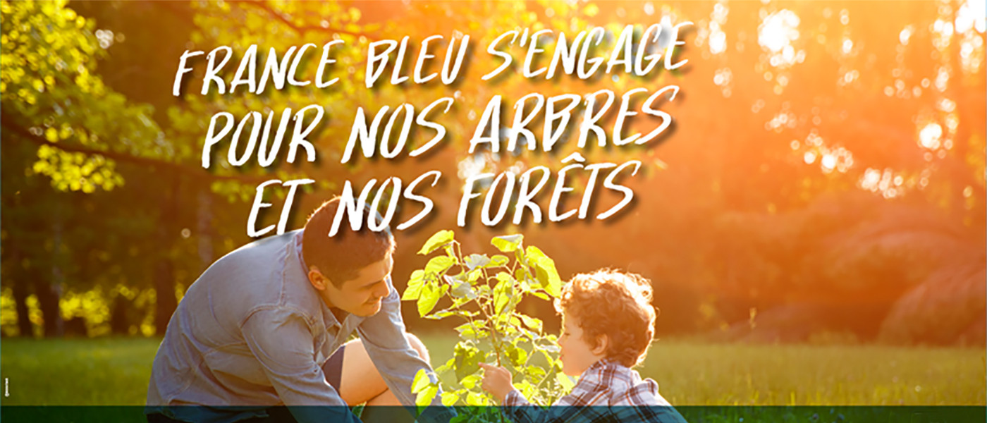 France Bleu s'engage pour nos arbres et nos forêts : journée spéciale vendredi 25 novembre 2022