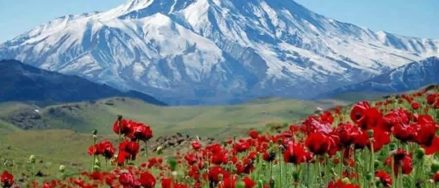 «Iran, autrement » :  Un hommage musical par Disco Tehran & Fip le 21 mars de 20h à 22h