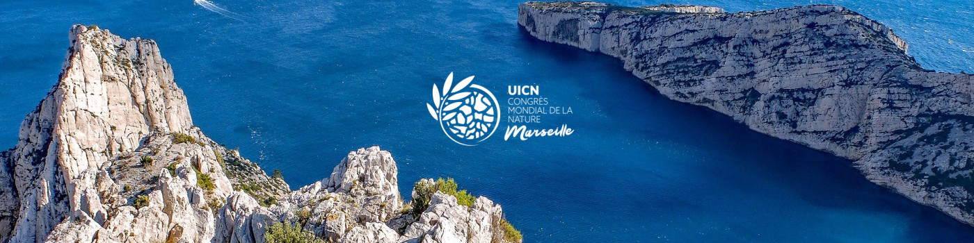 Du 3 au 11 septembre 2021, la France accueillera le Congrès Mondial de la Nature de l’UICN à Marseille
