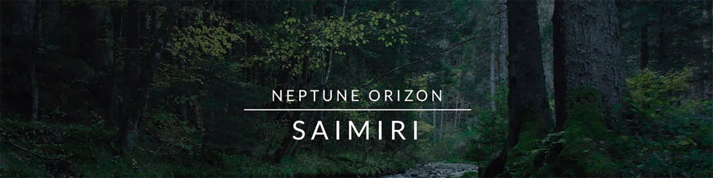 « Saimiri » de Neptune Orizon, un replay Radio France