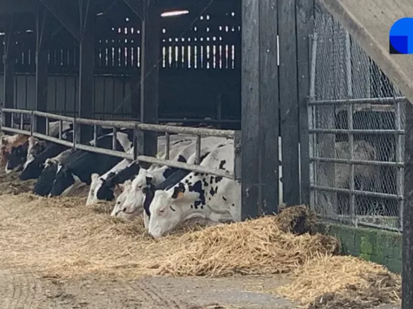 Ma France se délocalise à Villette-d’Anthon (38) au cœur d’une exploitation agricole - Vendredi 20 février – 13H/14H