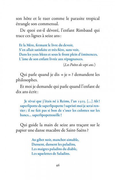 Un été avec Rimbaud Sylvain Tesson - p46