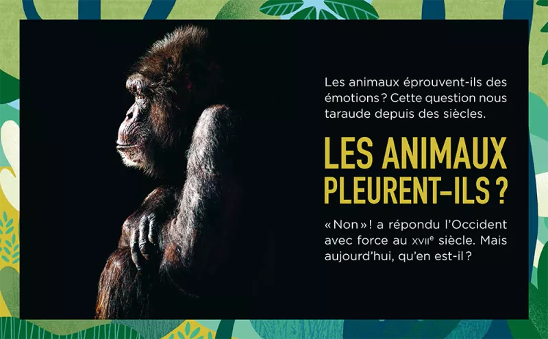 Grand bien vous fasse Emotions -62