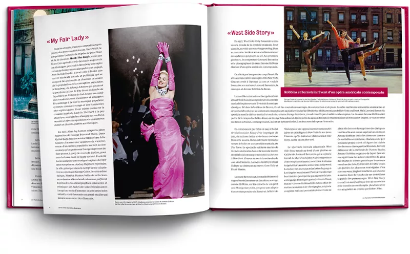Vinylebook Les plus belles comédies musicales page1