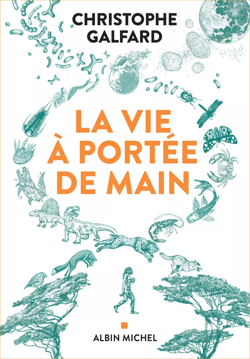 La vie à portée de main. Christophe Galfard-sans bandeau