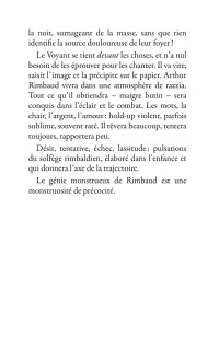 Un été avec Rimbaud Sylvain Tesson - p40