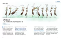 L'encyclo des p'tits Bateaux. Camille Crosnier-p16-17