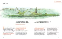 L'encyclo des p'tits Bateaux. Camille Crosnier-p50-51